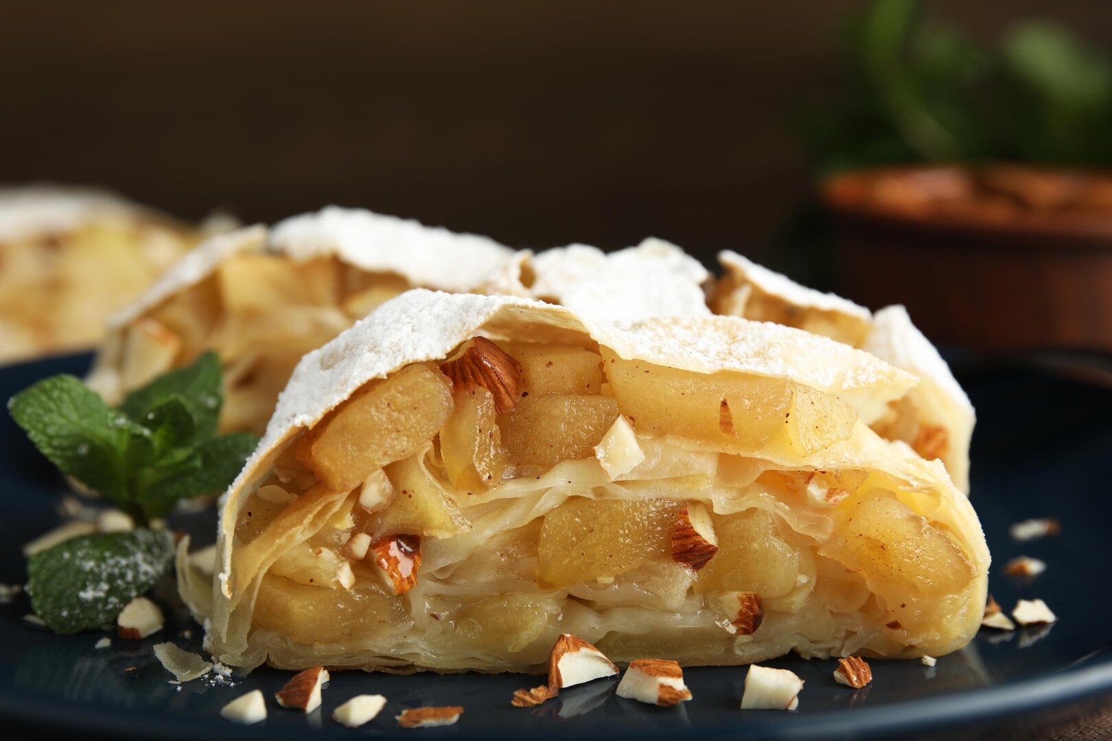 DdM102.10 Apfel/Topfenstrudel 40 Stück